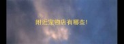 附近宠物店有哪些
