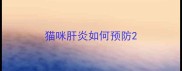 猫咪肝炎如何预防