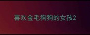 喜欢金毛狗狗的女孩