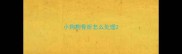 小狗狗骨折怎么处理
