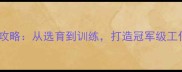 赛级拉布拉多犬全攻略从选育到训练打造冠军级工作犬的6大核心法则