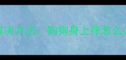 抱狗后皮肤发痒的7个解决方法狗狗身上痒怎么办宠物主人必读指南