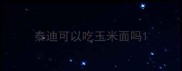 泰迪可以吃玉米面吗