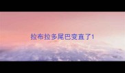 拉布拉多尾巴变直了