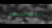 宠物店买的猫生病了