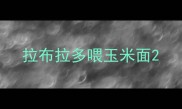 拉布拉多喂玉米面