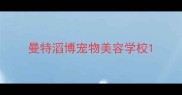 曼特滔博宠物美容学校