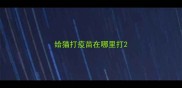 给猫打疫苗在哪里打