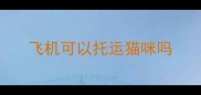 飞机可以托运猫咪吗
