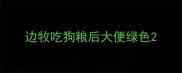 边牧吃狗粮后大便绿色