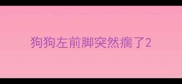 狗狗左前脚突然瘸了