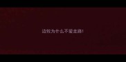 边牧为什么不爱走路