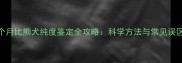 6个月比熊犬纯度鉴定全攻略科学方法与常见误区