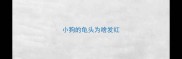 小狗的龟头为啥发红