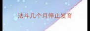 法斗几个月停止发育