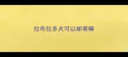 拉布拉多犬可以邮寄嘛