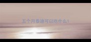 五个月泰迪可以吃什么