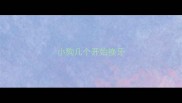小狗几个开始换牙