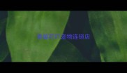 傲雄叮叮宠物连锁店