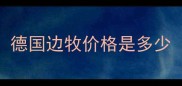 德国边牧价格是多少