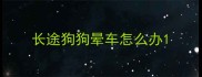 长途狗狗晕车怎么办