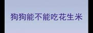 狗狗能不能吃花生米