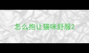 怎么抱让猫咪舒服