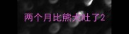 两个月比熊犬吐了