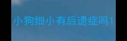 小狗细小有后遗症吗