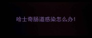 哈士奇肠道感染怎么办
