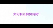 如何制止狗狗骑爬