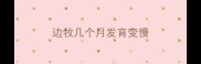 边牧几个月发育变慢