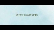 边牧什么标准体重