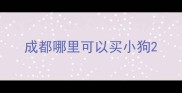 成都哪里可以买小狗
