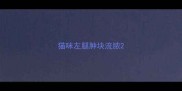猫咪左腿肿块流脓