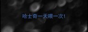 哈士奇一天喂一次