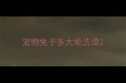 宠物兔子多大能洗澡