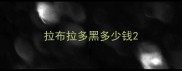 拉布拉多黑多少钱