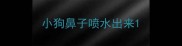 小狗鼻子喷水出来
