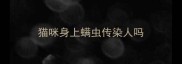 猫咪身上螨虫传染人吗