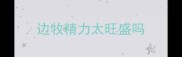边牧精力太旺盛吗