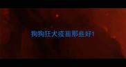 狗狗狂犬疫苗那些好