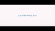 边牧和德牧外观上区别