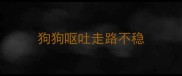 狗狗呕吐走路不稳