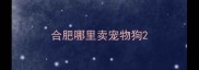 合肥哪里卖宠物狗