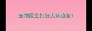 宠物医生打狂犬病疫苗