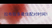 拉布拉多最佳配对时间