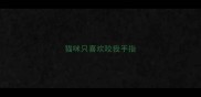 猫咪只喜欢咬我手指