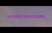 中华田园犬还用打疫苗吗