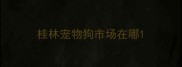 桂林宠物狗市场在哪